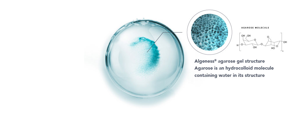 Agarose Algeness logo 3